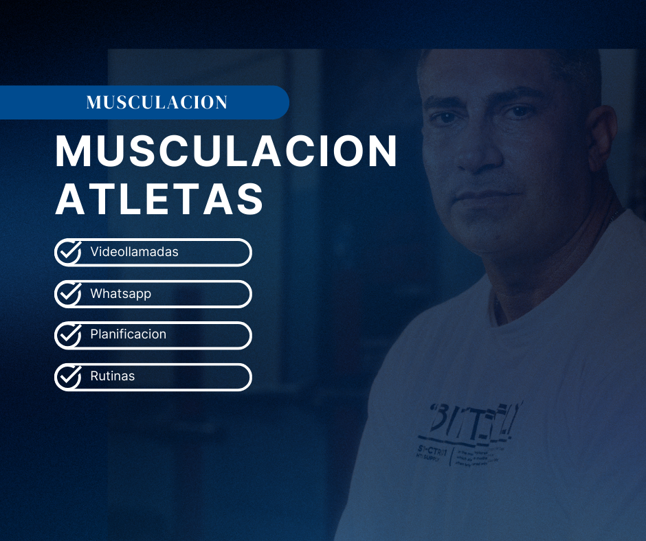 Musculacion